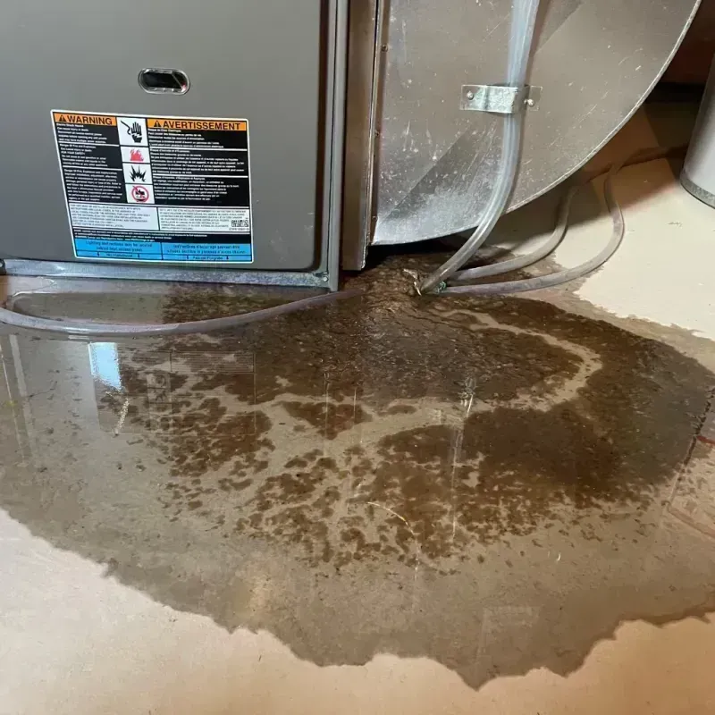 Appliance Leak Cleanup in Niles, IL